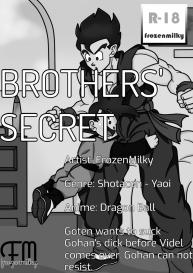 Brothers’ Secret #1